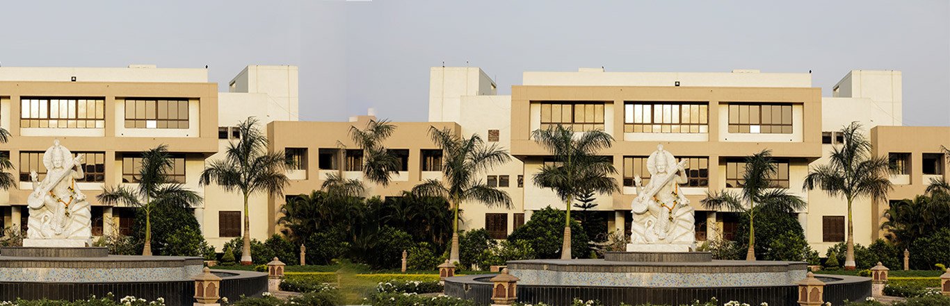 DY Patil International University