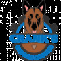 Crankscustomcanines