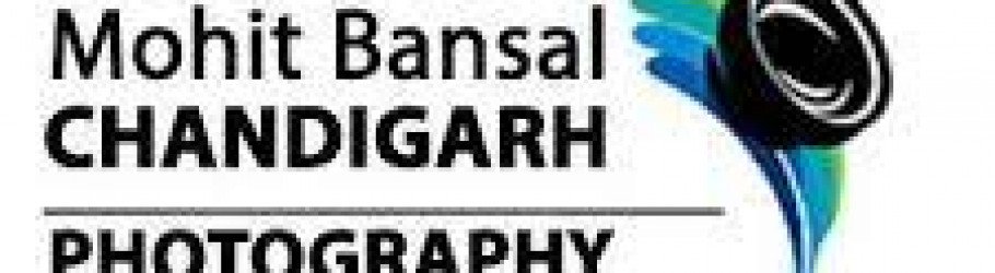 mohitbansal
