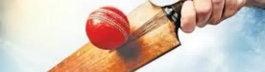 cricketid