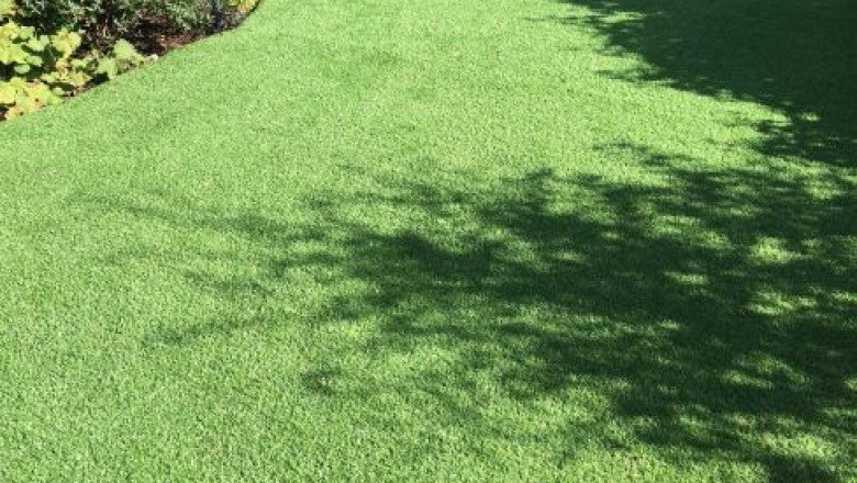 Want to know about the best Artificial Grass Supplier? Visit Artificial Grass GB!