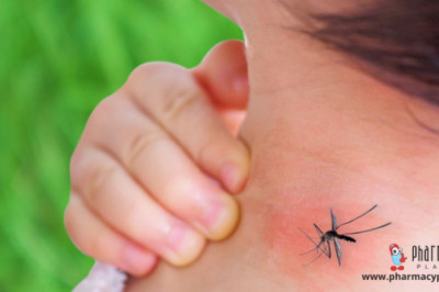 What Are The Best Anti-Malaria Medications in 2022?