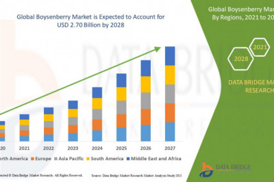 Global Boysenberry Market Size Anticipated to Observe Growth at a Steady Rate of 9.6% for the Study Period 2021-2028