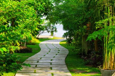 Landscaping Ideas for Extra Privacy in Your Garden