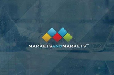 Which are the top companies hold the market share in empty capsules market?