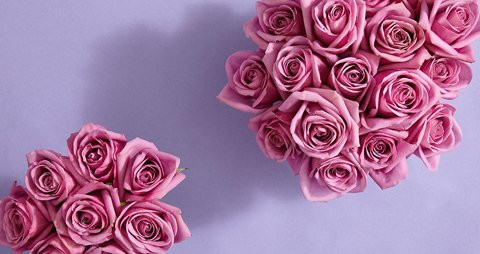Central Coast Funerals
