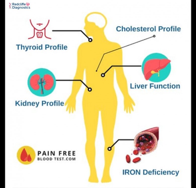 Redcliffe Labs - Full Body Checkup In Pune