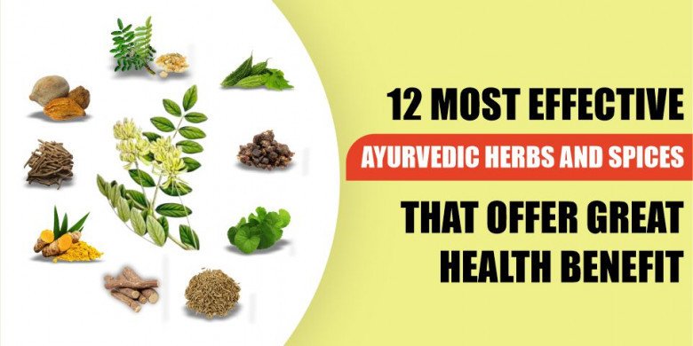 12 MOST EFFECTIVE AYURVEDIC HERBS AND SPICES THAT OFFER GREAT HEALTH BENEFIT