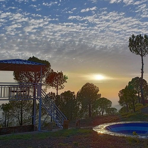 Our Top Brands For The Best homestay In Kasauli - Woods Villa
