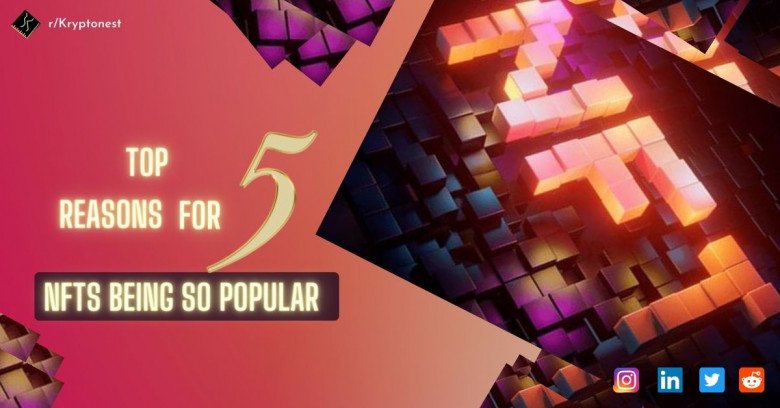 why NFTs Being So Popular