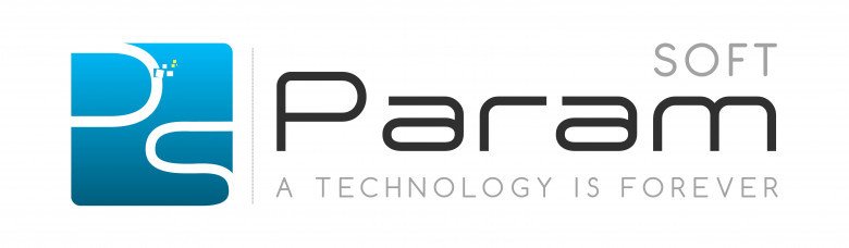 Paramsoft: Web Development Services