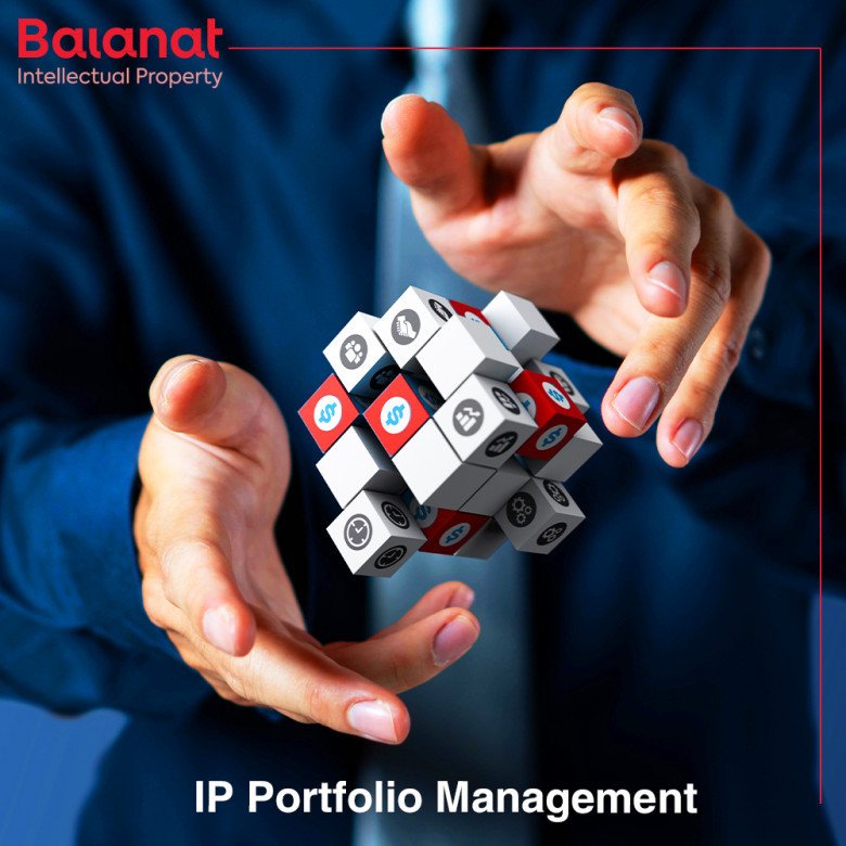 What is IP portfolio management