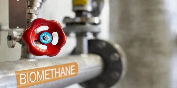 Global Biomethane Market Analysis