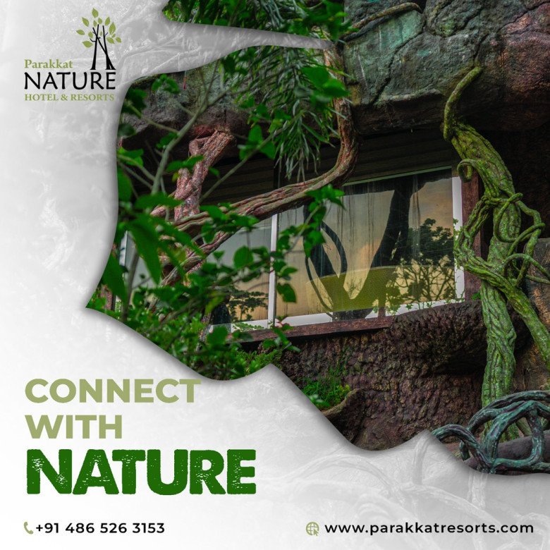 5 star resorts in Munnar