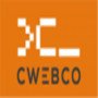 cWebConsultants