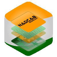 blockchaincustom
