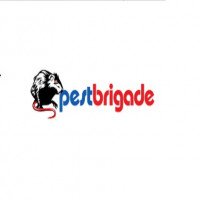pestbrigade