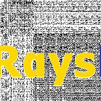 Raysdigitalmarketing