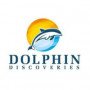 dolphindiscoveries