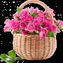 floradoor