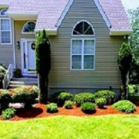 vielmanlandscaping