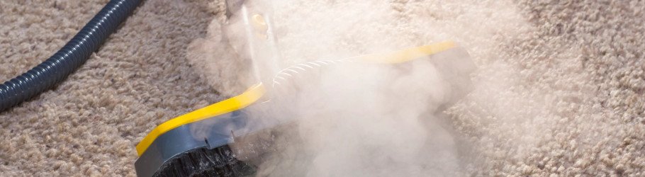 scottsdaleazcarpetcleaner