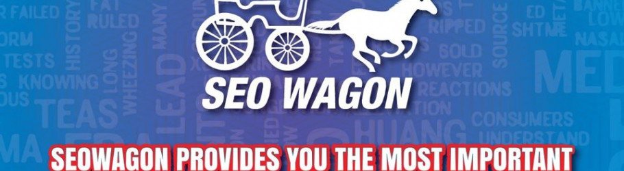 seowagon