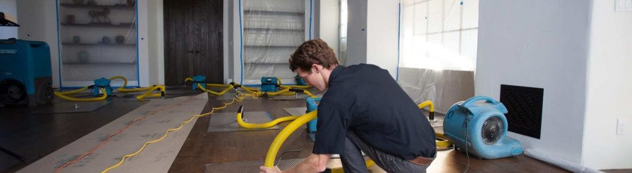 Servicemasterremediationservices