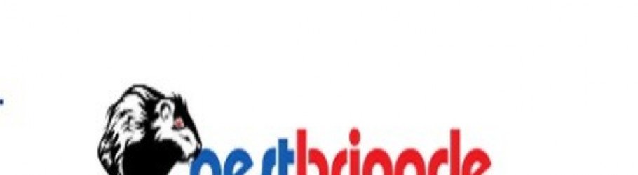 pestbrigade