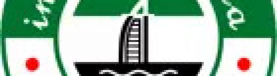 instaonlinedubaivisa