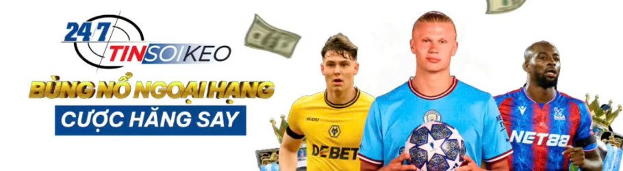 247tinsoikeo