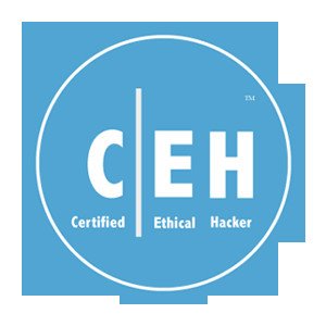 Online Ethical Hacking training | CEH Course Online