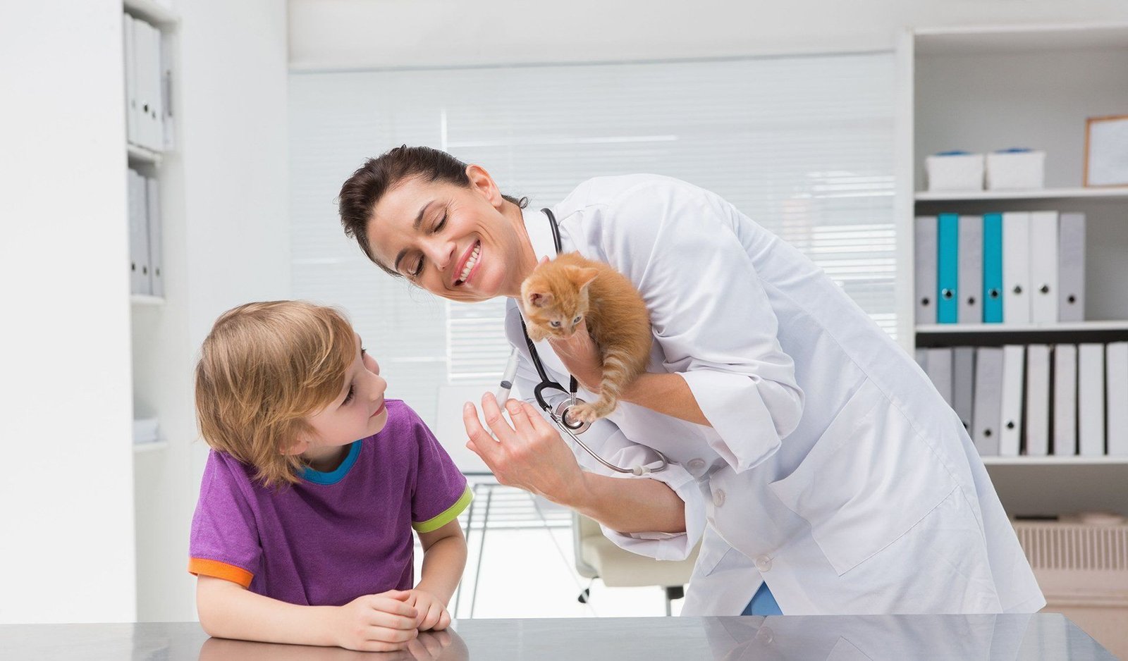 Understanding FIV