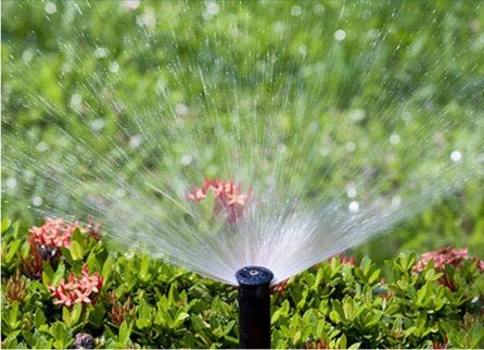 Sprinkler Companies in Perrysburg
