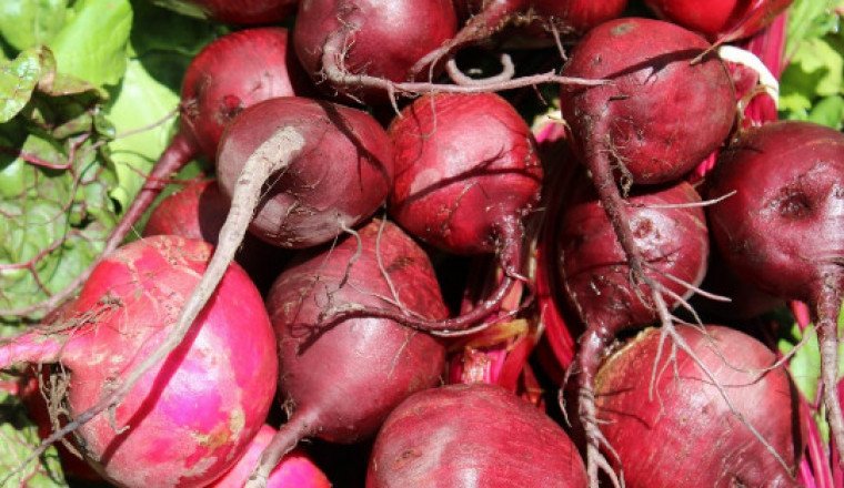 What Is the Purpose of Natural Food?