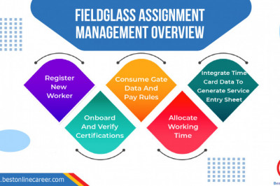 SAP Fieldglass | SAP Fieldglass Online Training