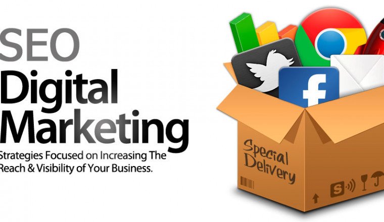 About Soft Radix | Web Application Development and Best SEO Company in india