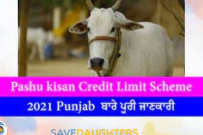 Punjab Kisan Credit Limit Scheme 2022
