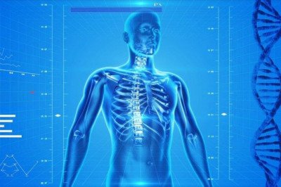 Medical Imaging Displays Market Trends, Get Market Research, Business Risk & Industry Analysis Reports 2027
