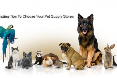 8 Amazing Tips To Choose Your Pet Supply Stores