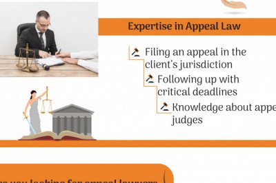 Infographics: Why Hire an Appeal Lawyer?