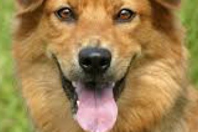 Khi tính tiền thưởng thì sẽ có những cách tính khác nhau