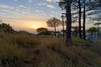 Blog - A Perfect Place To Stay In Kasauli | Woods Villa Kasauli