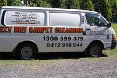 Hire Expert Pest Control Cleaning Service in Brisbane