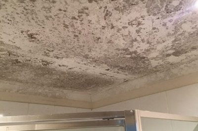 Get Mold Removal Singapore Best Service and Get Big Relief