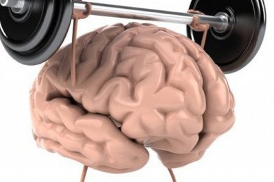 How Long Does Modafinil Stay in Your System