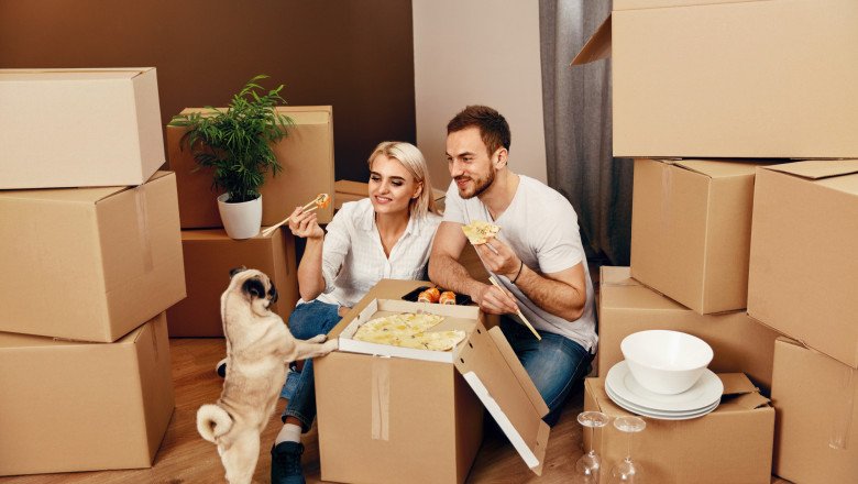 Pet Relocation Services Dubai | Interemrelocations
