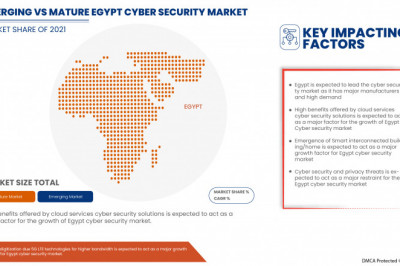 Egypt Physical Security Market Analysis, Growth, Demand Future Forecast 2029
