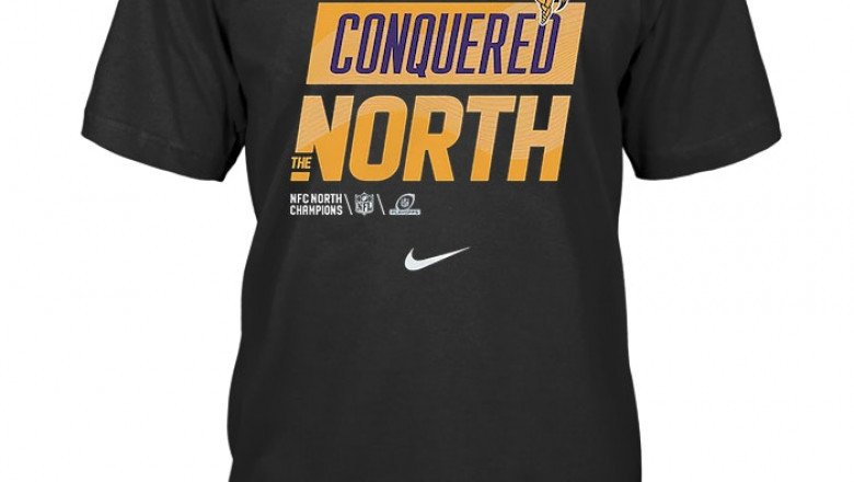 Vikings nfc north champions 2022 t shirts | Linkgeanie.com