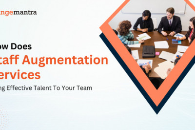 How Does Staff Augmentation Services Bring Effective Talent To Your Team
